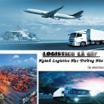 Logistics là gì? học Logistics ở trường nào?