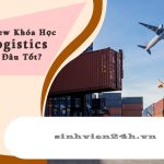 Học Logistics ở đâu tốt