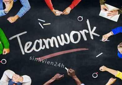 Team work là gì?